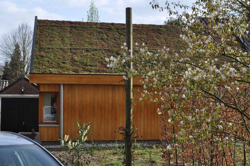 uitbouw_groen_dak_noord architectuur aanbouw levensloopbestendig accoyahout sedum dak groendak