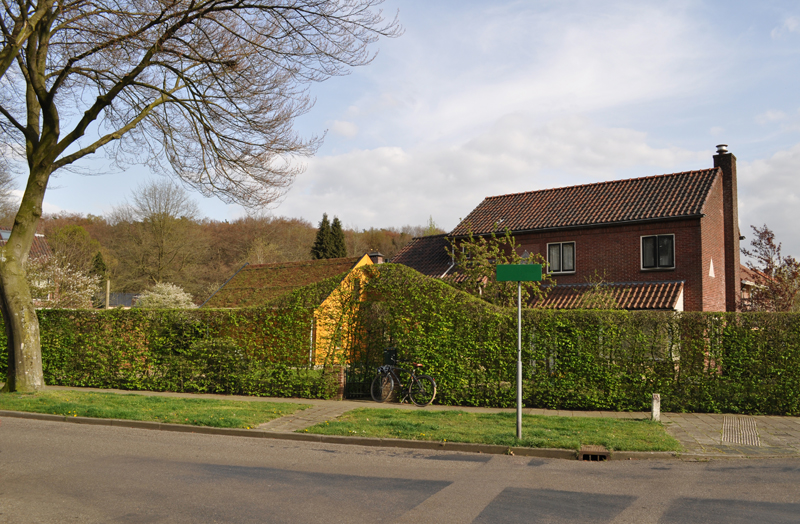 uitbouw_in_het_groen architectuur aanbouw levensloopbestendig accoya hout sedum dak groendak